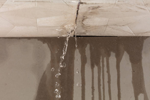 Professional Water Damage Repair technician working in Belpre, OH